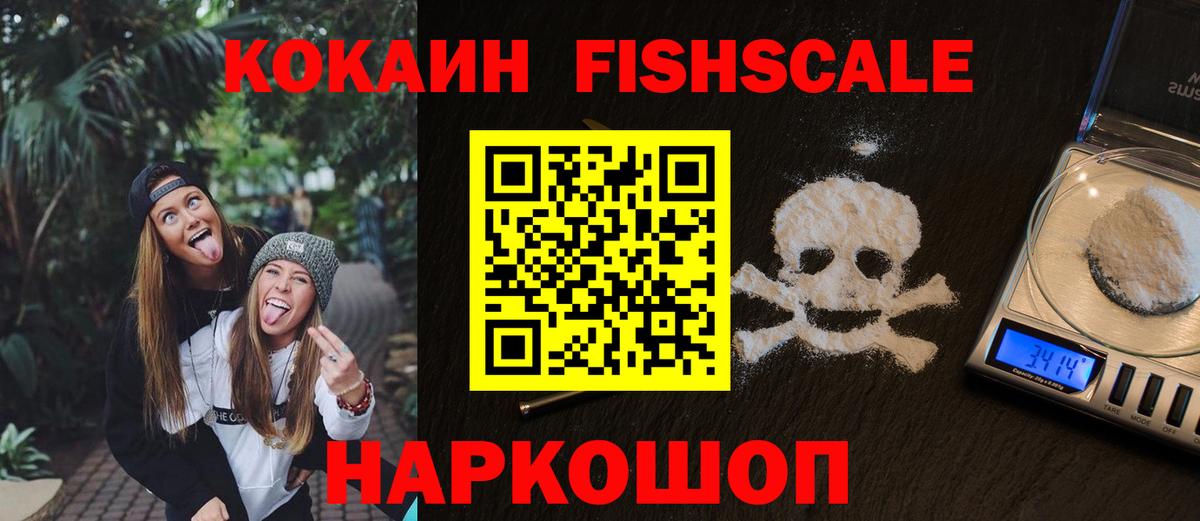 Cocaine Fish Scale  закладки  Фролово  Вход с VPN 